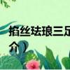 掐絲琺瑯三足蓋鼎（關于掐絲琺瑯三足蓋鼎簡介）