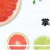 掌典（關于掌典簡介）