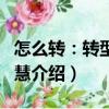 怎么轉：轉型的智慧（關于怎么轉：轉型的智慧介紹）