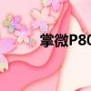 掌微P800（關于掌微P800簡介）