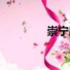 崇寧路（關于崇寧路簡介）