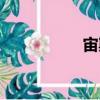 宙斯（關于宙斯介紹）