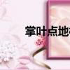 掌葉點地梅（關于掌葉點地梅簡介）