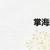 掌海綿（關于掌海綿簡介）