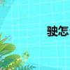 駛怎么組詞（駛如何組詞）