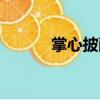 掌心披薩（關于掌心披薩簡介）