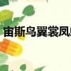 宙斯鳥翼裳鳳蝶（關于宙斯鳥翼裳鳳蝶介紹）