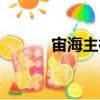 宙海主神（關于宙海主神介紹）