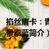掐絲唐卡：青海景泰藍（關于掐絲唐卡：青海景泰藍簡介）