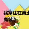 我家住在黃土高坡是那首歌的歌詞（出自黃土高坡）