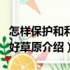 怎樣保護和利用好草原（關于怎樣保護和利用好草原介紹）