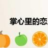 掌心里的戀人（關于掌心里的戀人簡介）