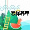 怎樣養甲魚（關于怎樣養甲魚介紹）