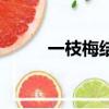 一枝梅結局（一枝梅結局是什么）