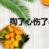 掏了心傷了心（關于掏了心傷了心簡介）