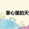 掌心里的天空（關于掌心里的天空簡介）