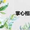 掌心相期（關于掌心相期簡介）