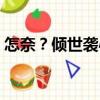 怎奈？傾世襲心（關于怎奈？傾世襲心介紹）