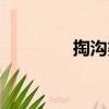 掏溝婆（關于掏溝婆簡介）