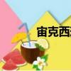 宙克西珀（關于宙克西珀介紹）