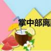掌中部離斷（關于掌中部離斷簡介）