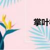 掌葉樹（關于掌葉樹簡介）