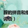膛的拼音和組詞（膛字怎么讀它可以組成什么詞語）