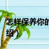怎樣保養你的乳房（關于怎樣保養你的乳房介紹）