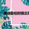 崇信縣柏樹鎮志愿服務隊（關于崇信縣柏樹鎮志愿服務隊簡介）