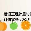 建設工程計量與計價實務：水利工程（關于建設工程計量與計價實務：水利工程介紹）