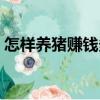 怎樣養豬賺錢多（關于怎樣養豬賺錢多介紹）