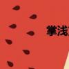 掌淺支（關于掌淺支簡介）