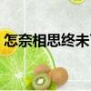 怎奈相思終未了（關于怎奈相思終未了介紹）