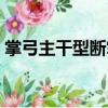 掌弓主干型斷掌（關于掌弓主干型斷掌簡介）