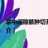 掌中間隙膿腫切開引流術（關于掌中間隙膿腫切開引流術簡介）