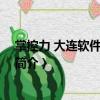 掌控力 大連軟件有限公司（關于掌控力 大連軟件有限公司簡介）