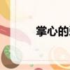 掌心的愛（關于掌心的愛簡介）