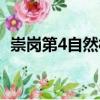 崇崗第4自然村（關于崇崗第4自然村簡介）