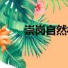 崇崗自然村（關于崇崗自然村簡介）