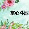 掌心斗地主（關于掌心斗地主簡介）