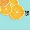 崇岳（關于崇岳簡介）
