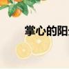 掌心的陽光（關于掌心的陽光簡介）