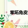 掌跖角皮癥（關于掌跖角皮癥簡介）