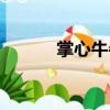 掌心牛牛（關于掌心牛牛簡介）
