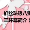 掐絲琺瑯八獅紋三環尊（關于掐絲琺瑯八獅紋三環尊簡介）