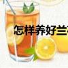 怎樣養好蘭花（關于怎樣養好蘭花介紹）