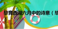 畢竟西湖六月中的詩意(畢竟西湖六月中詩意)