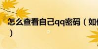 怎么查看自己qq密碼(如何查看自己qq密碼)