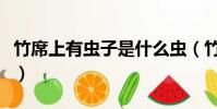 竹席上有蟲子是什么蟲(竹席上的蟲子是什么)