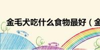 金毛犬吃什么食物最好(金毛犬吃的食物)